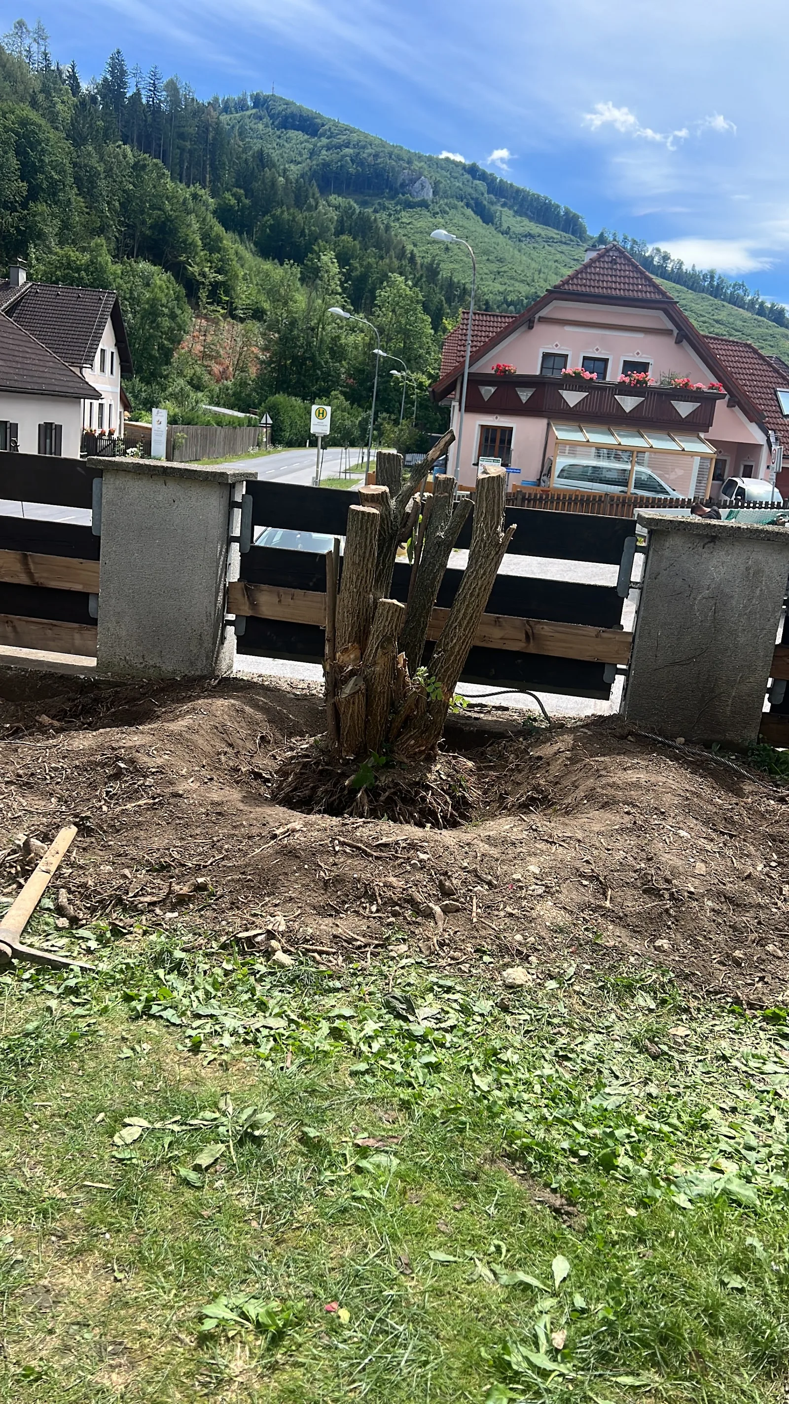 Freigelegter Wurzelstock am Zaun vor der Gartengestaltung