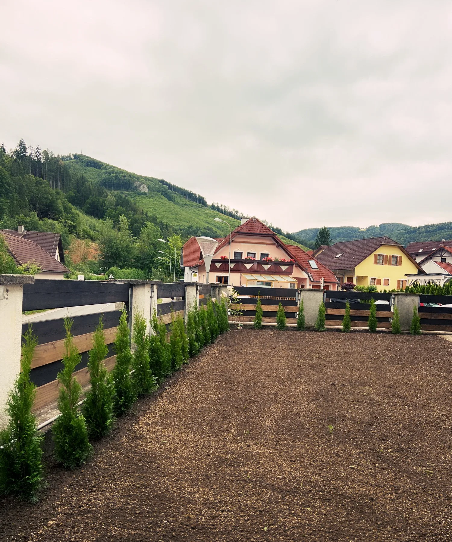 Vorbereitete Gartenfläche mit neu gesetzter Hecke und Blick auf den Ort