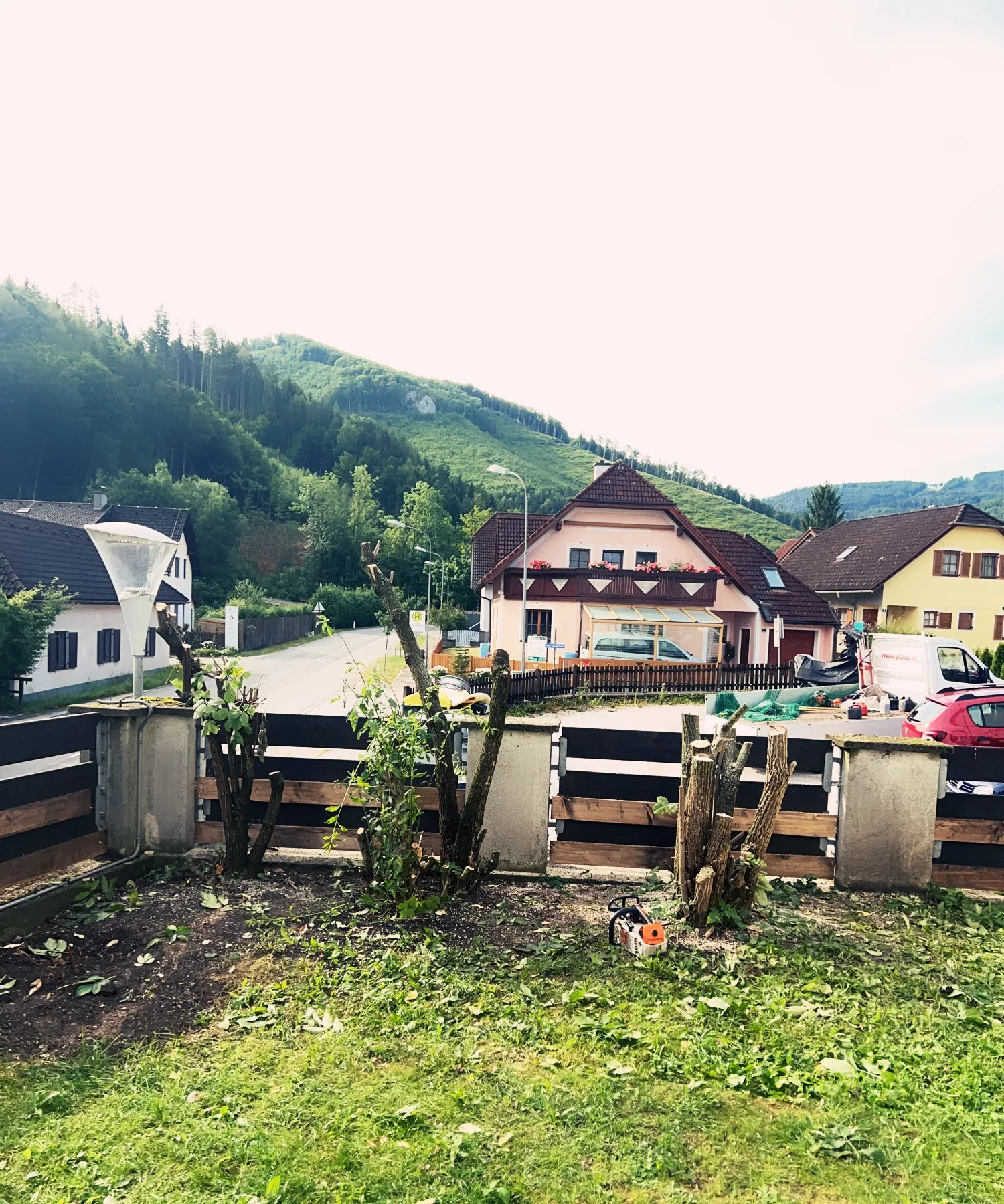 Mehrere zurückgeschnittene Baumstümpfe vor einem Gartenzaun